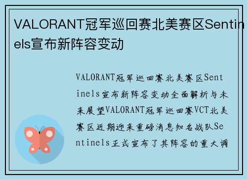 VALORANT冠军巡回赛北美赛区Sentinels宣布新阵容变动