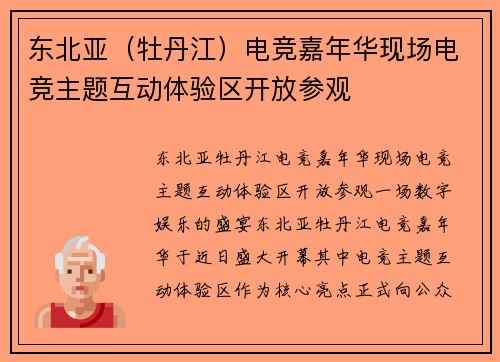 东北亚（牡丹江）电竞嘉年华现场电竞主题互动体验区开放参观
